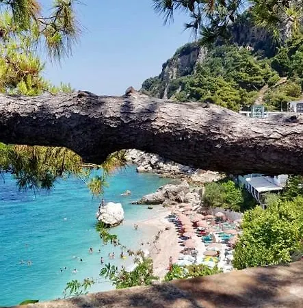 I'm Joy * Vlorë